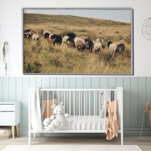 Akustikbild Schafe 100x150